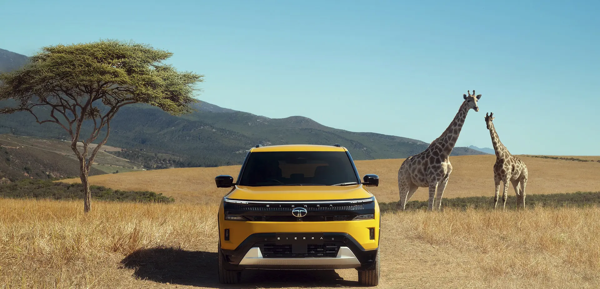 Sierra on jungle safari